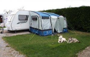 Callowtop – the perfect site to take your humans!